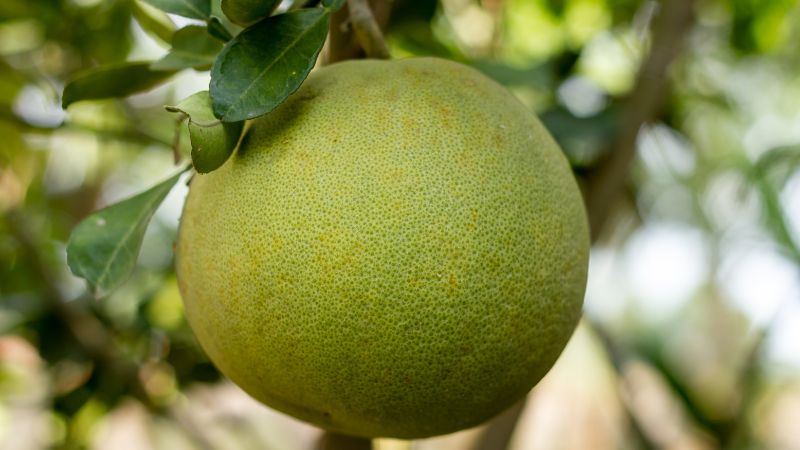 Xông nhà mới bằng vỏ bưởi Xông nhà mới bằng vỏ bưởi